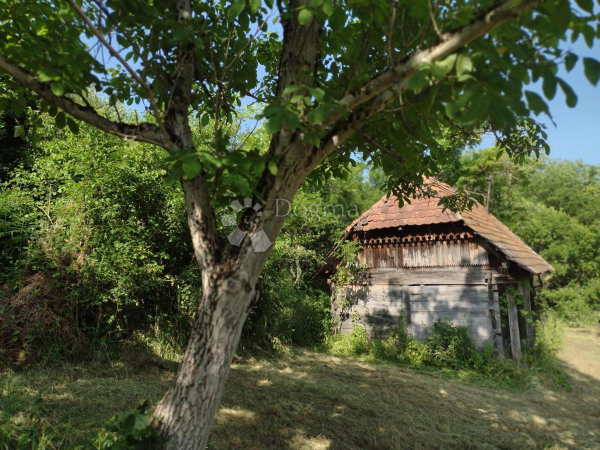 Hiša Golinja, Gvozd, 50m2