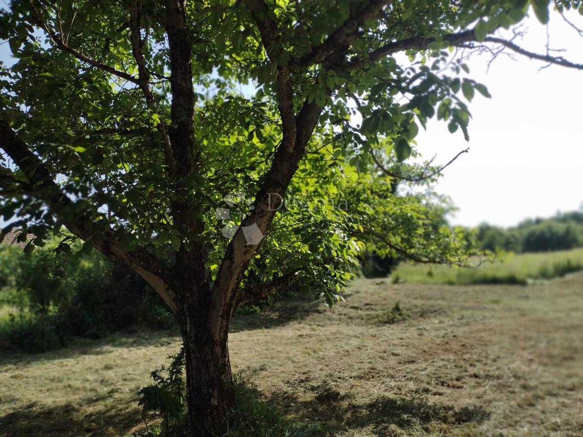 Hiša Golinja, Gvozd, 50m2
