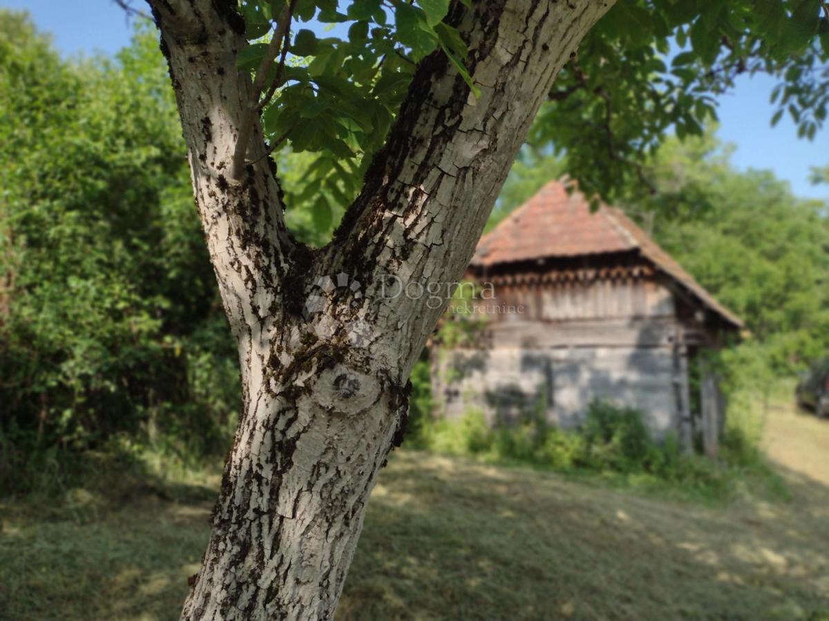 Hiša Golinja, Gvozd, 50m2