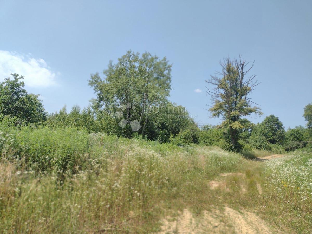 Kmetijsko zemljišče Dugo Selo Lasinjsko, Gvozd, 11.505m2