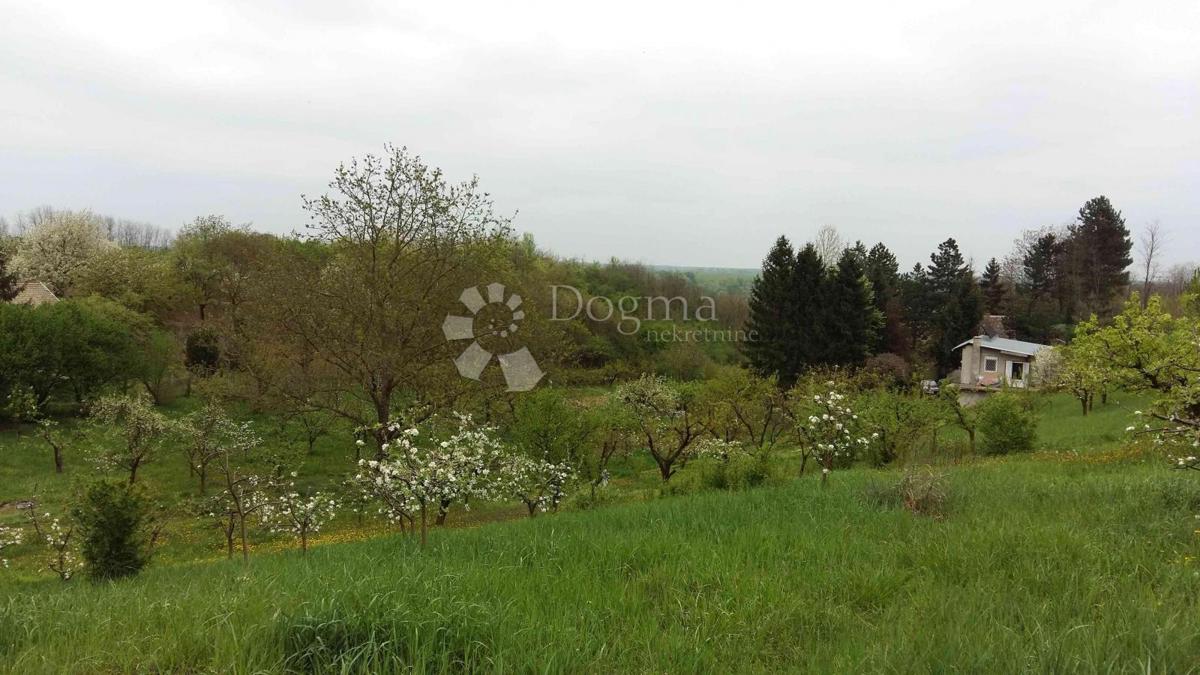 Hiša Zmajevac, Kneževi Vinogradi, 150m2