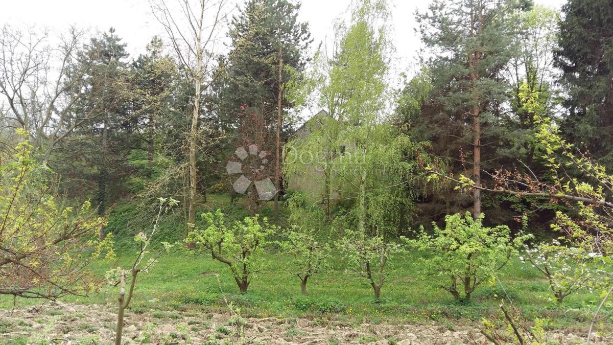 Hiša Zmajevac, Kneževi Vinogradi, 150m2