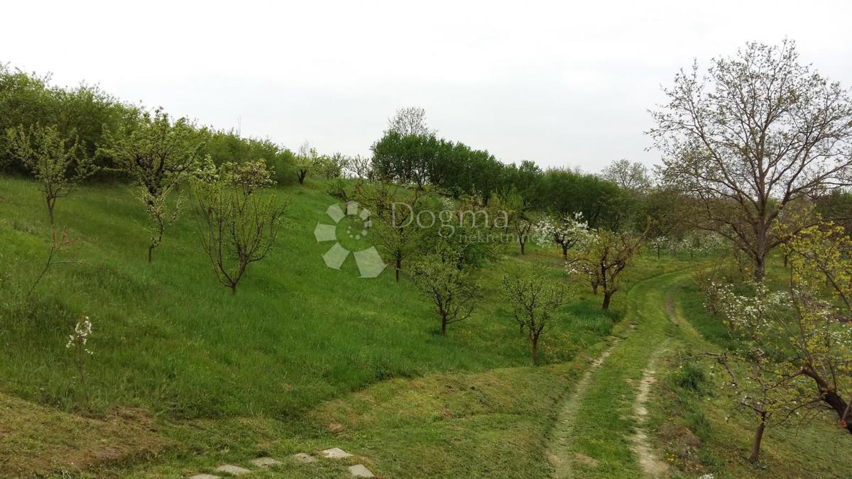 Hiša Zmajevac, Kneževi Vinogradi, 150m2