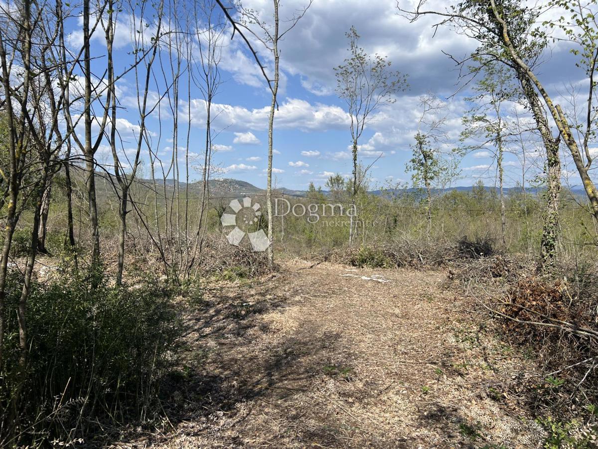 Kmetijsko zemljišče Šumber, Sveta Nedelja, 3.478m2