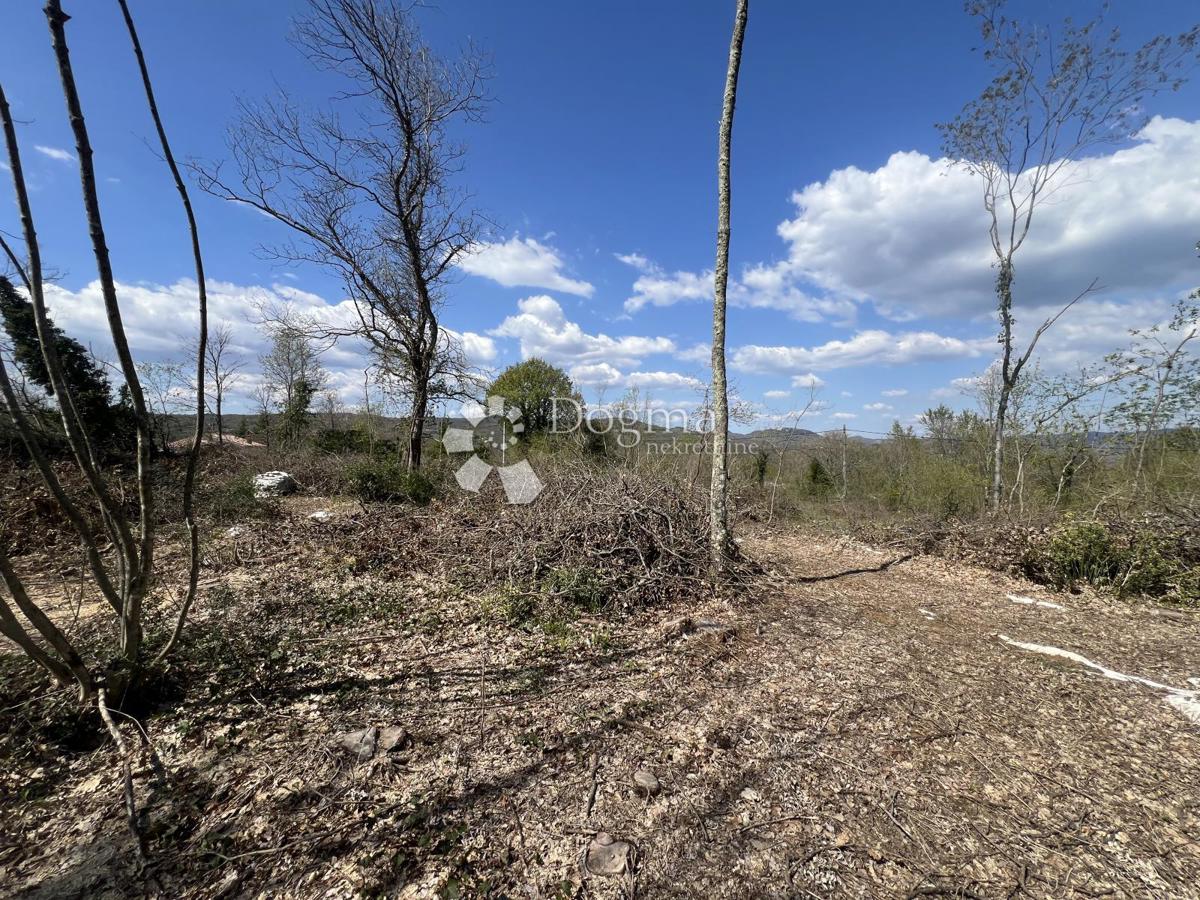 Kmetijsko zemljišče Šumber, Sveta Nedelja, 3.478m2