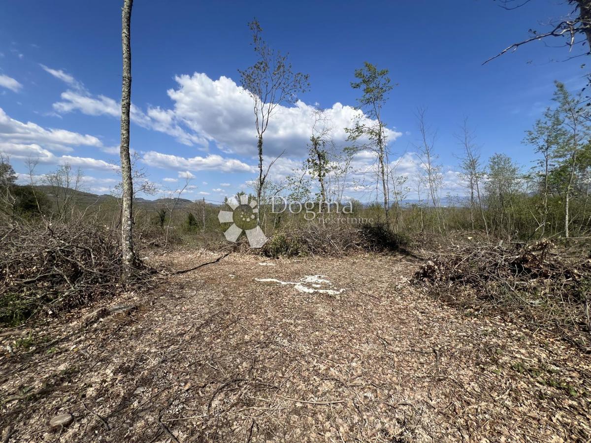 Kmetijsko zemljišče Šumber, Sveta Nedelja, 3.478m2