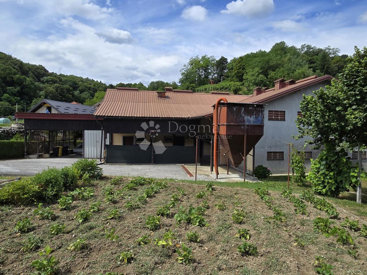 Hiša Babinec, Cestica, 116,39m2