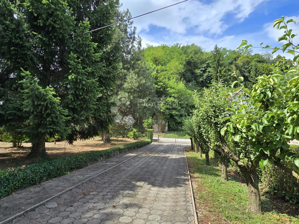 Hiša Babinec, Cestica, 116,39m2