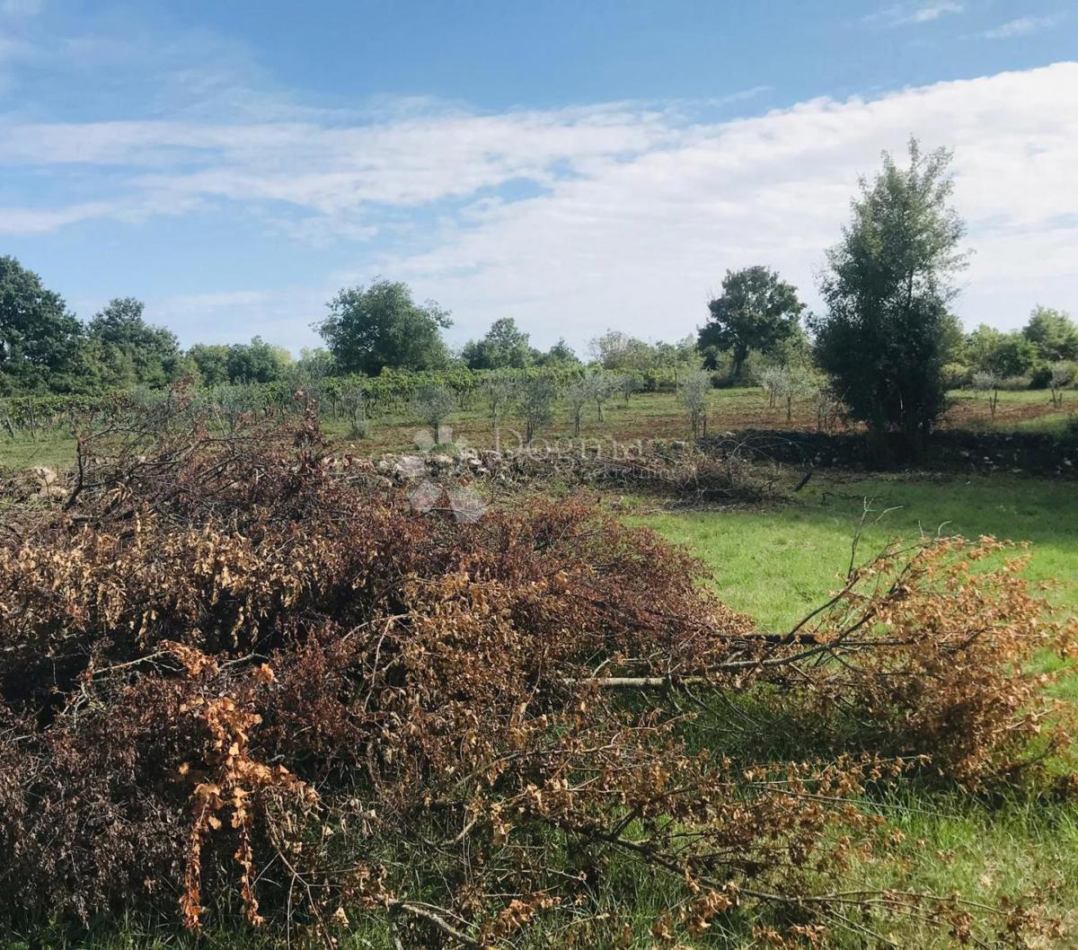 Zazidljivo zemljišče Cere, Žminj, 621m2