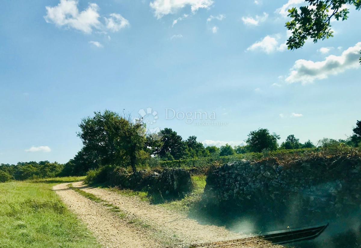 Zazidljivo zemljišče Cere, Žminj, 621m2