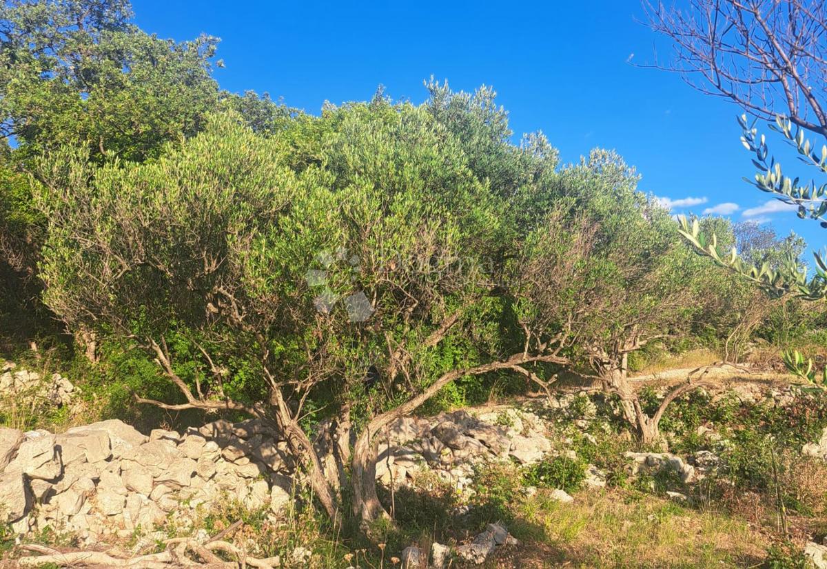 Kmetijsko zemljišče Punat, 1.164m2
