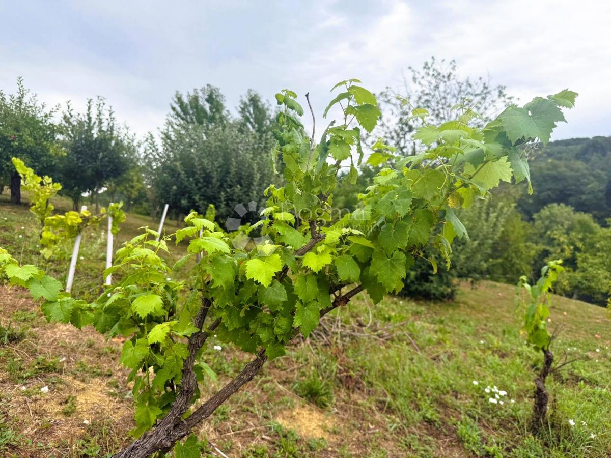 Zazidljivo zemljišče Ledinec, Beretinec, 1.306m2