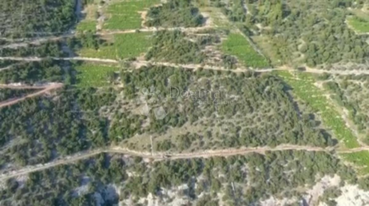 Kmetijsko zemljišče Potomje, Orebić, 17.346m2