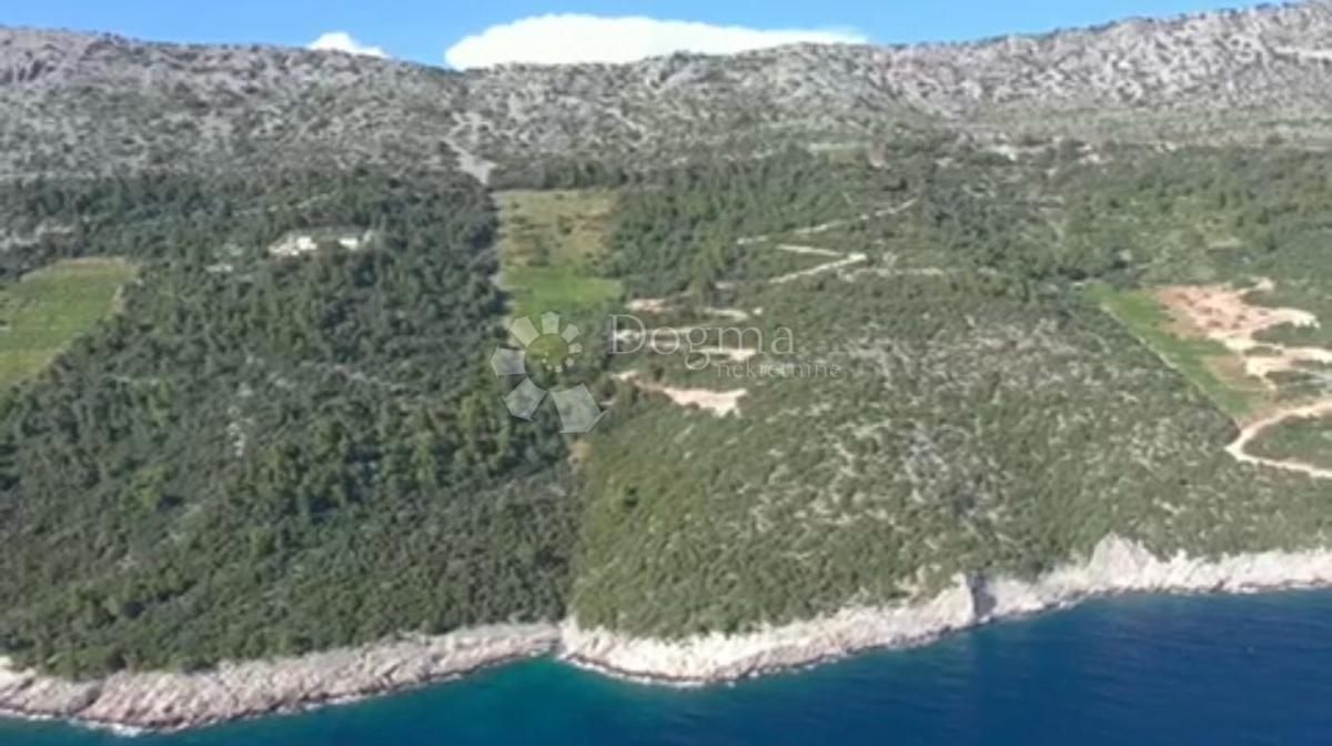 Kmetijsko zemljišče Potomje, Orebić, 17.346m2