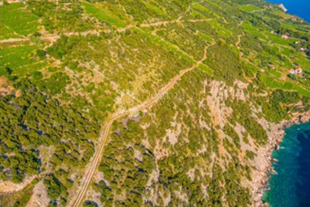 Kmetijsko zemljišče Potomje, Orebić, 70.000m2