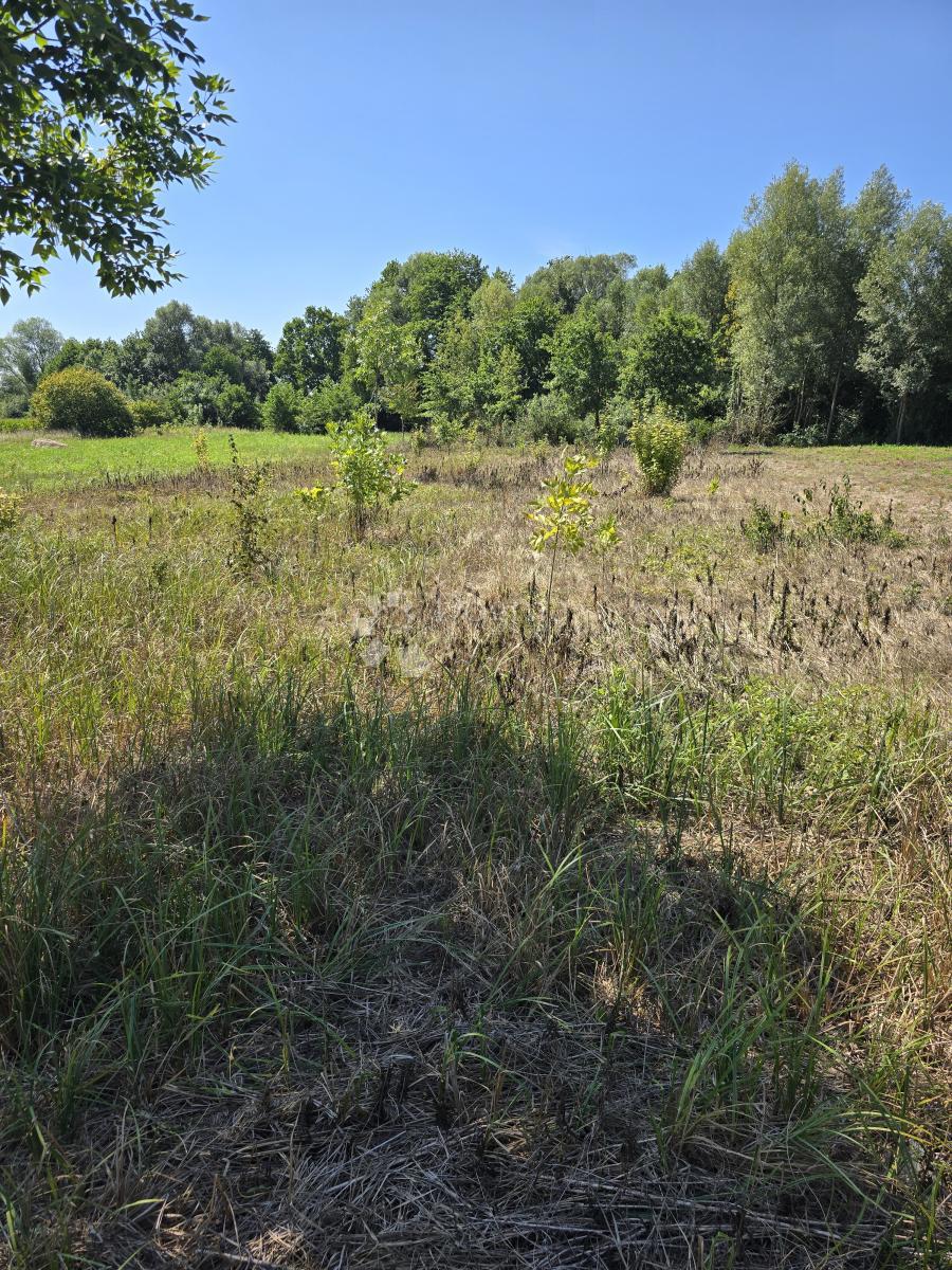 Kmetijsko zemljišče Donji Kućan, Varaždin - Okolica, 2.962m2