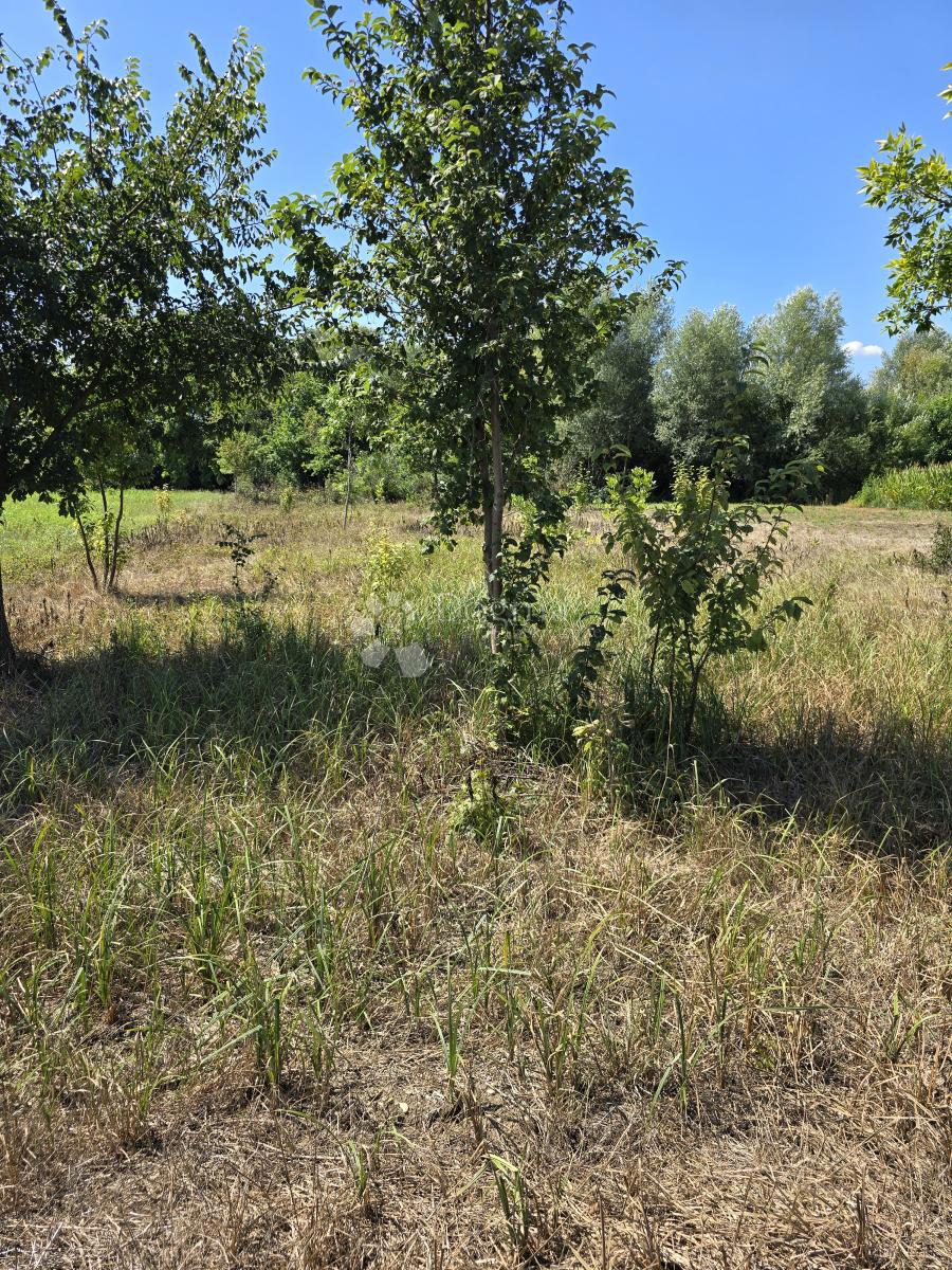 Kmetijsko zemljišče Donji Kućan, Varaždin - Okolica, 2.962m2