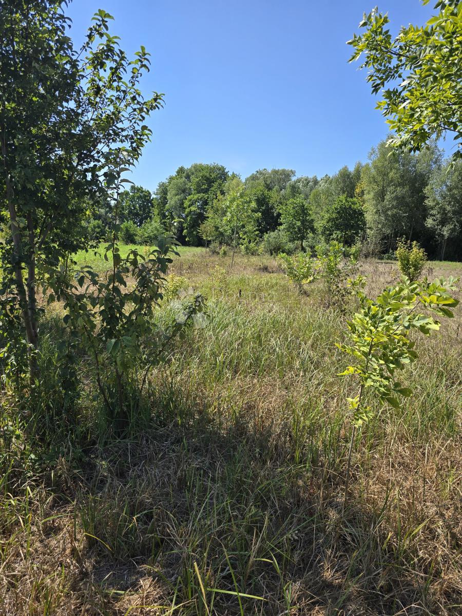 Kmetijsko zemljišče Donji Kućan, Varaždin - Okolica, 2.962m2