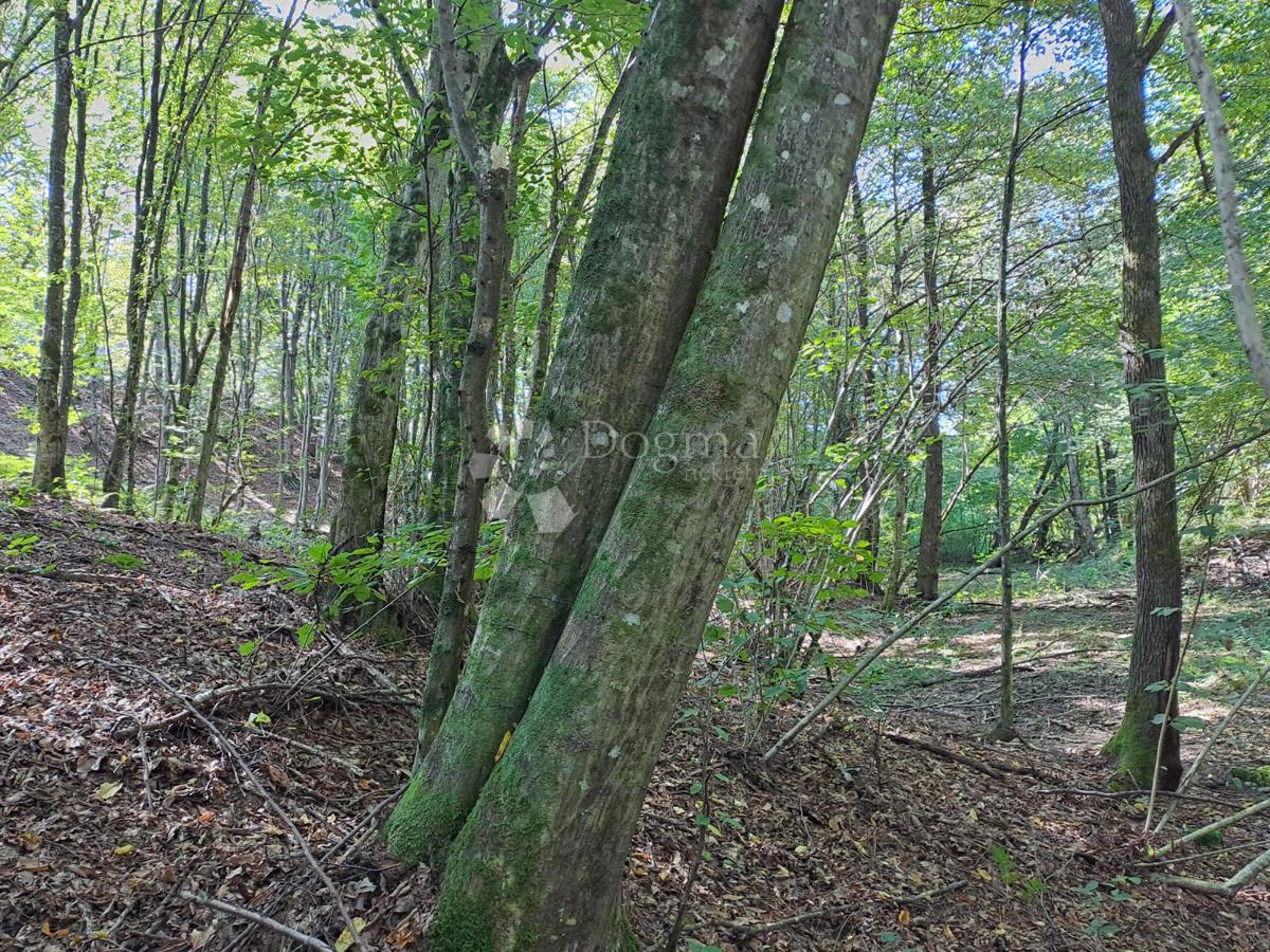 Zazidljivo zemljišče Topusko, 3.714m2