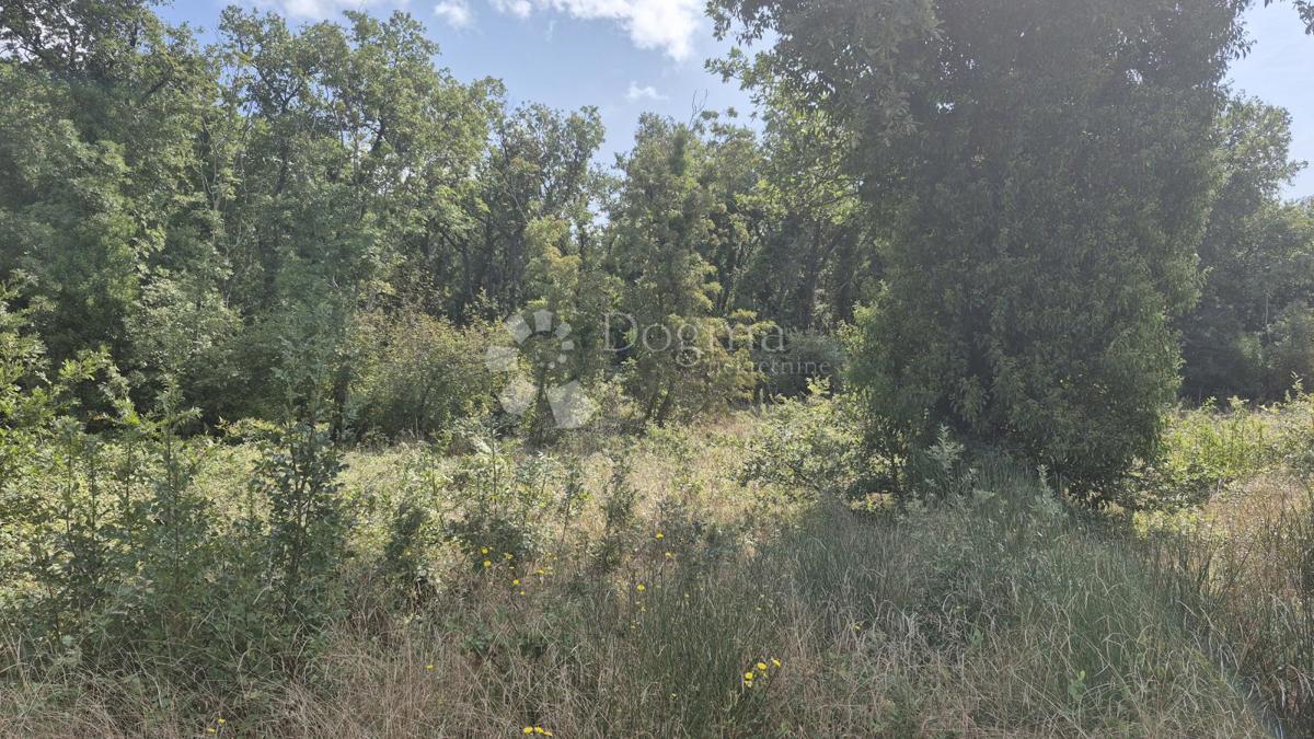 Kmetijsko zemljišče Medulin, 520m2