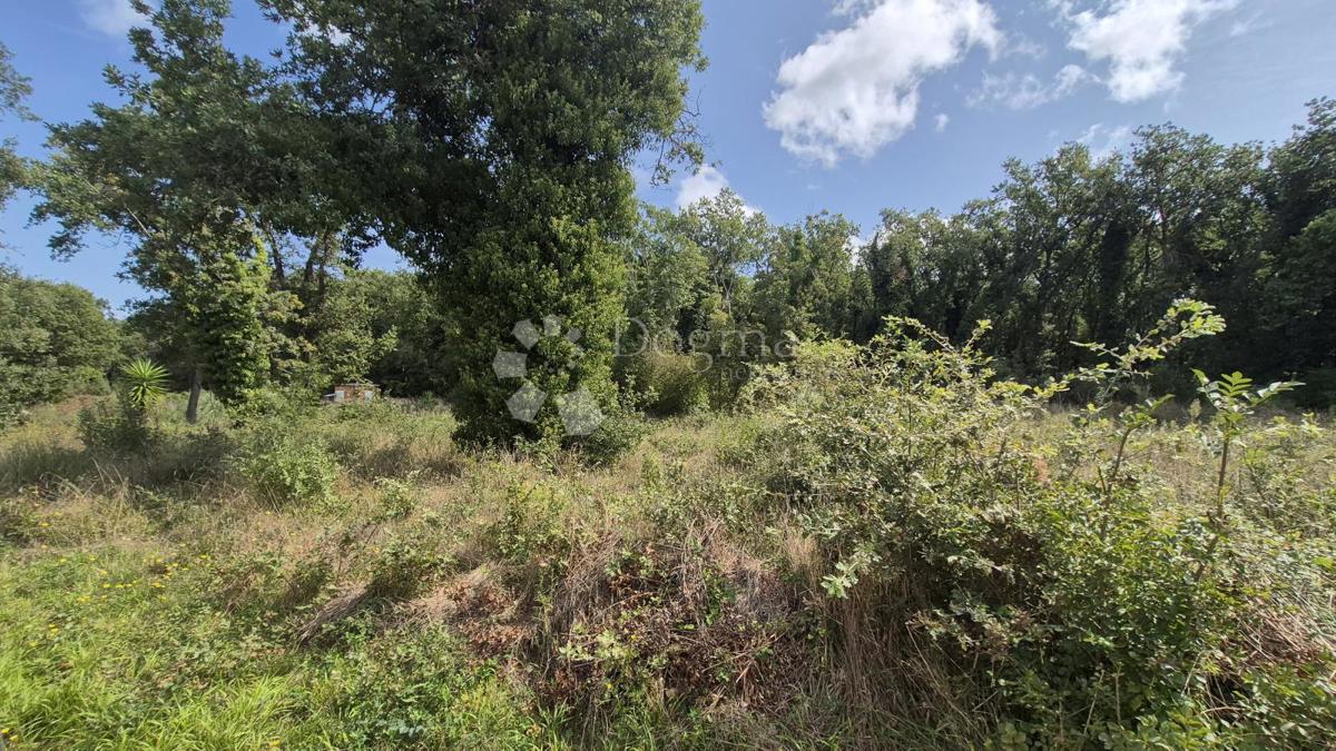 Kmetijsko zemljišče Medulin, 520m2