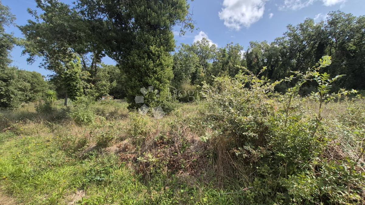 Kmetijsko zemljišče Medulin, 520m2