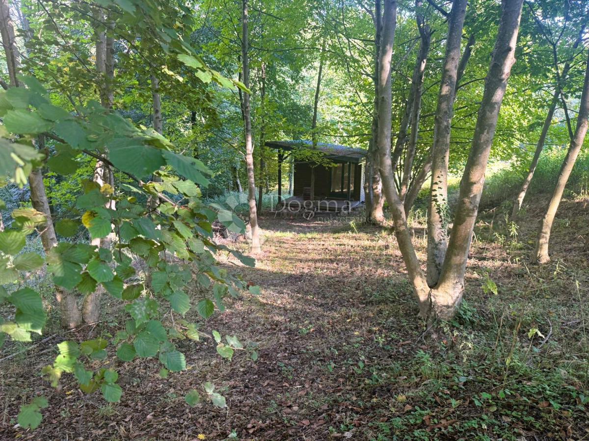 Zazidljivo zemljišče Grabrovnik, Štrigova, 6.085m2
