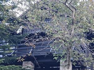 Hiša Platak, Čavle, 63m2