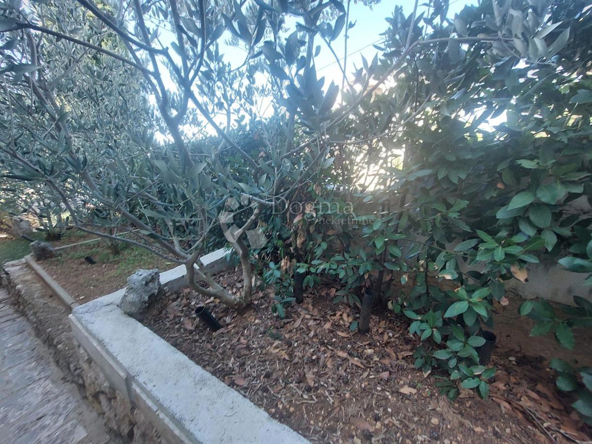 Hiša Maslenica, Jasenice, 92m2