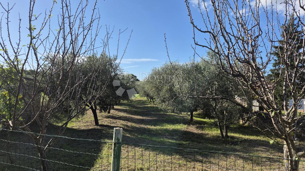 Zazidljivo zemljišče Peruški, Marčana, 493m2