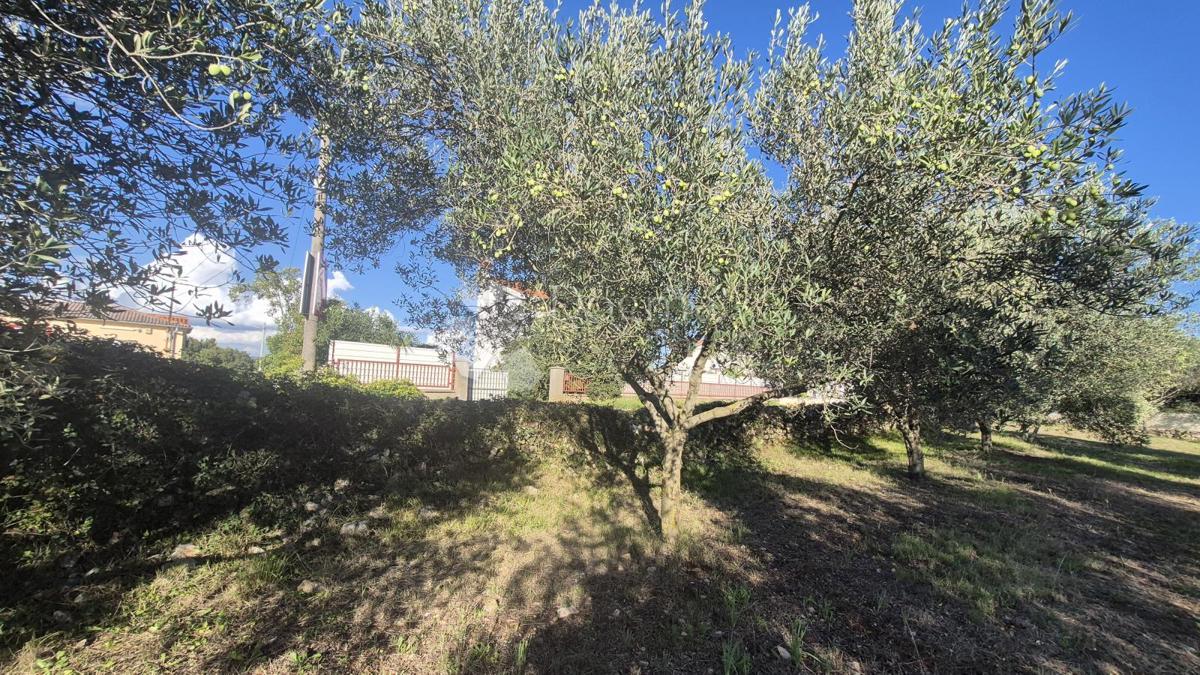 Zazidljivo zemljišče Peruški, Marčana, 493m2