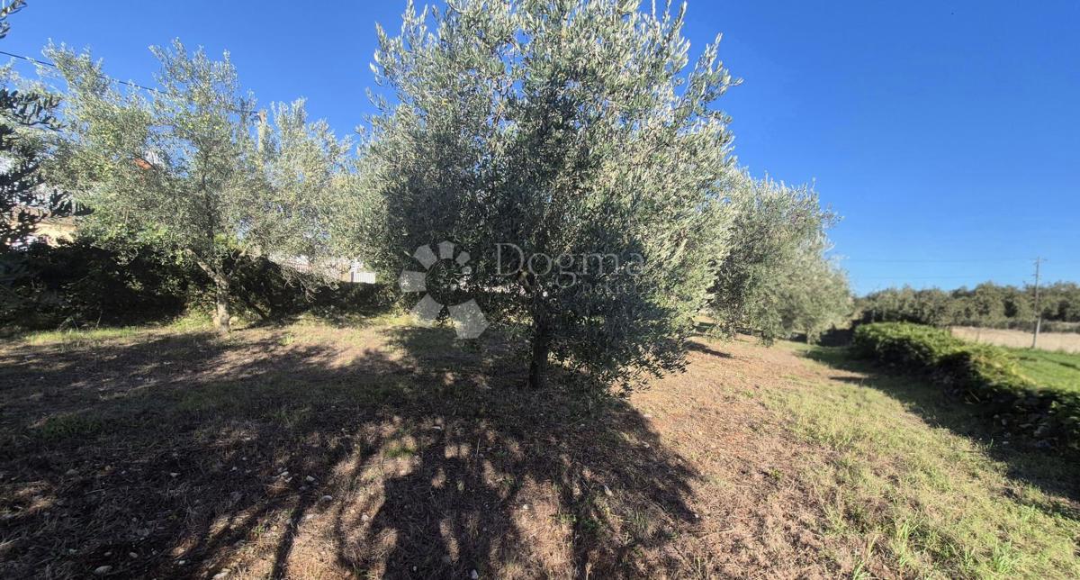 Zazidljivo zemljišče Peruški, Marčana, 493m2