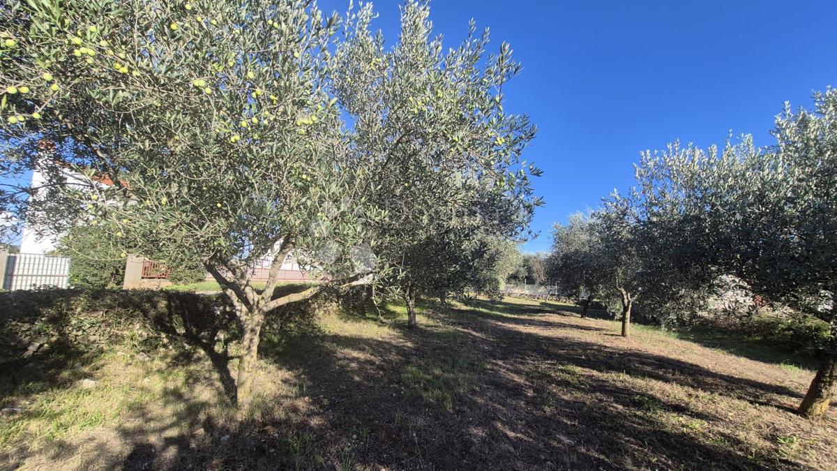 Zazidljivo zemljišče Peruški, Marčana, 493m2