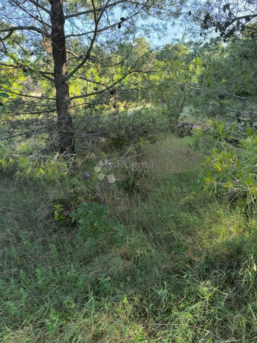 Kmetijsko zemljišče Prvić Šepurine, Vodice, 619m2