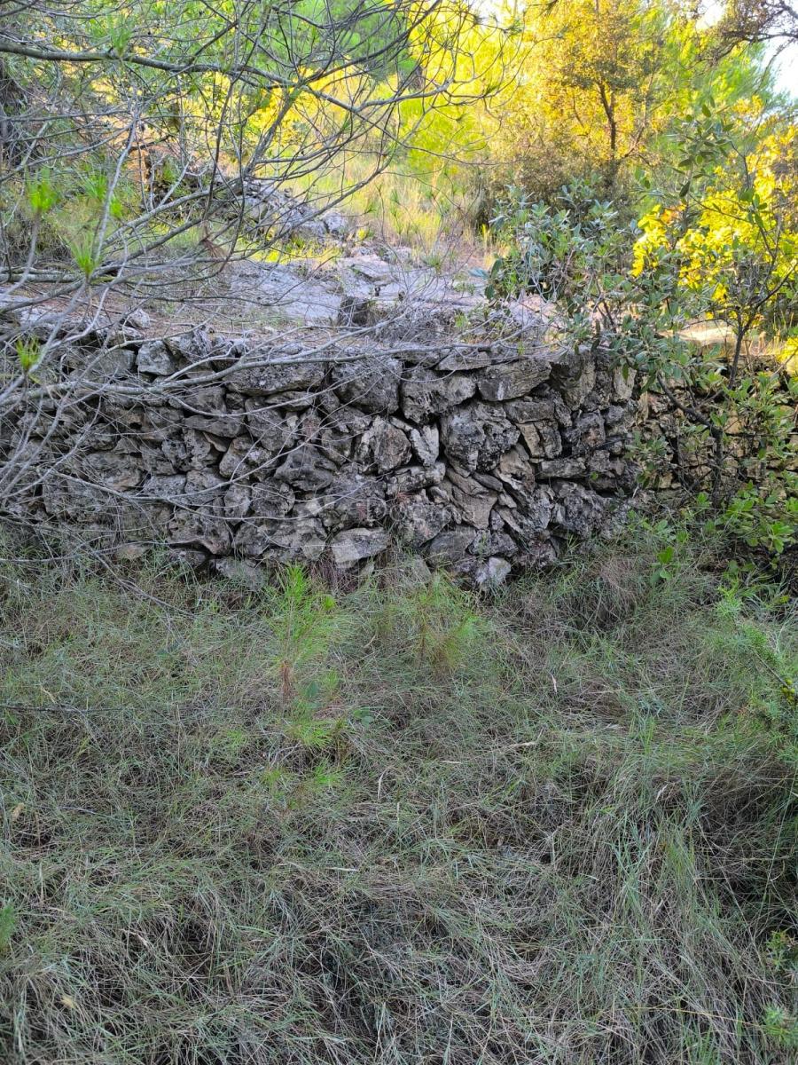 Kmetijsko zemljišče Prvić Šepurine, Vodice, 619m2