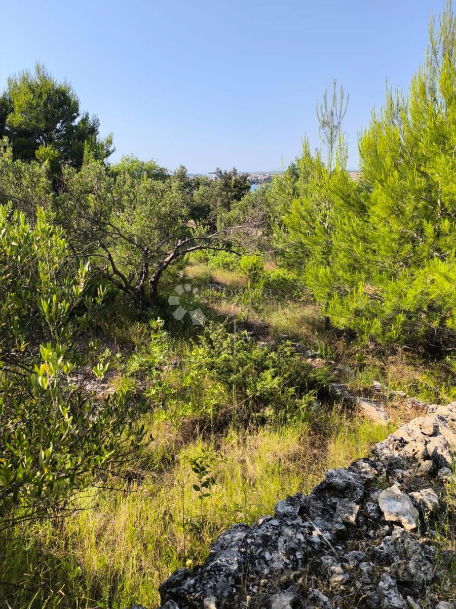 Kmetijsko zemljišče Prvić Šepurine, Vodice, 619m2