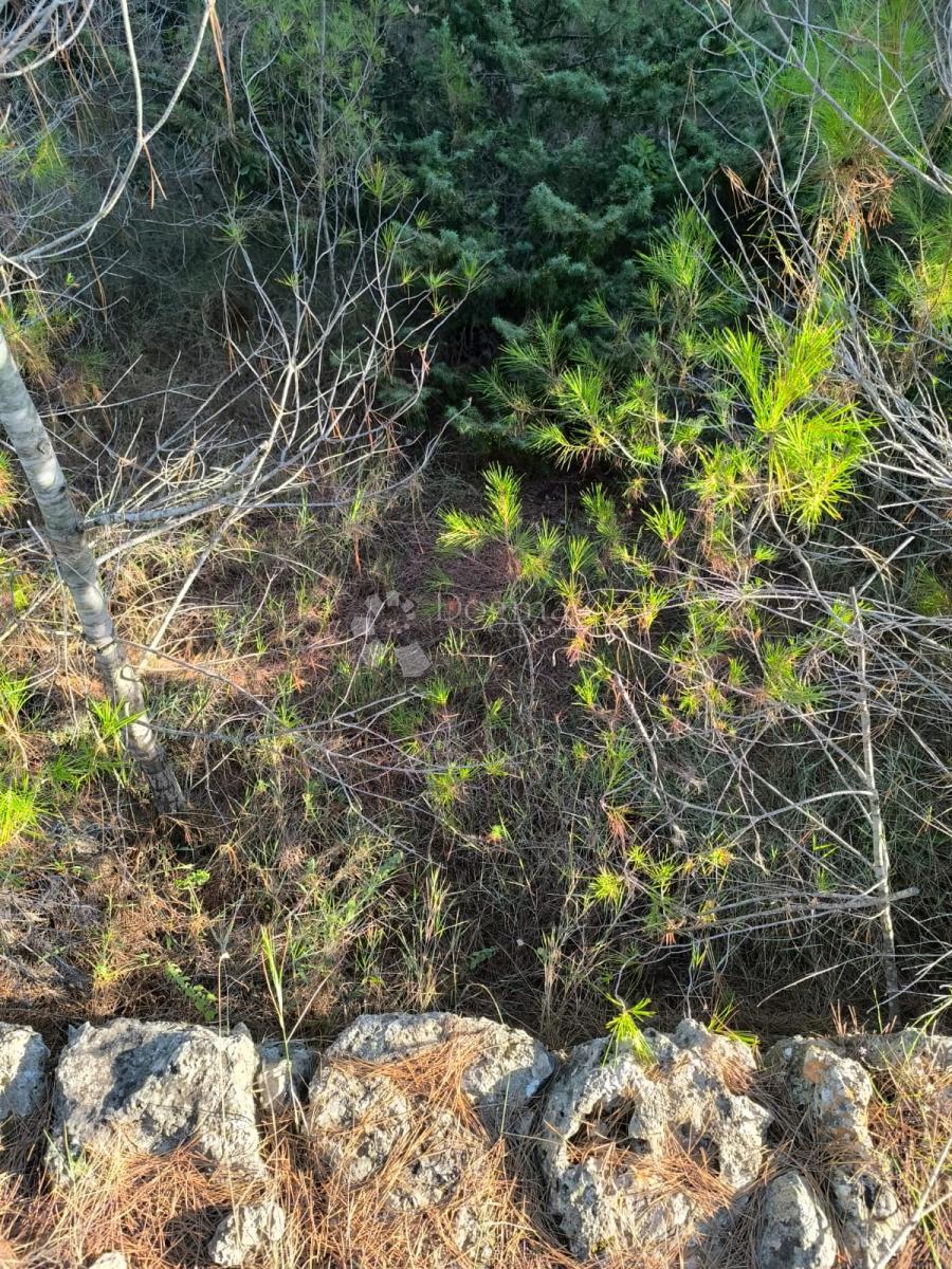 Kmetijsko zemljišče Prvić Šepurine, Vodice, 619m2