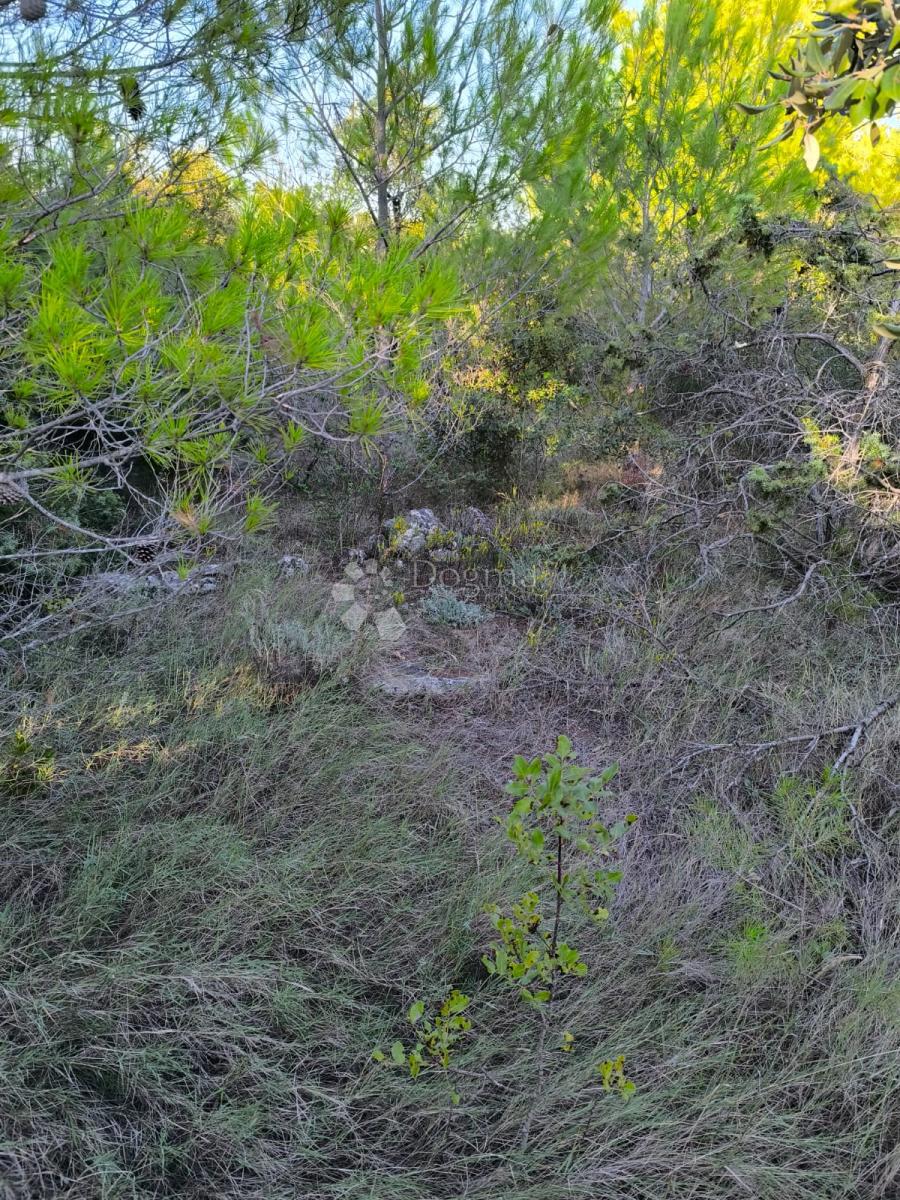 Kmetijsko zemljišče Prvić Šepurine, Vodice, 619m2