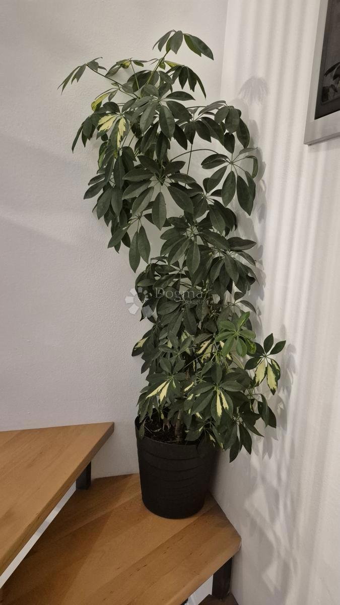 Dupleks stanovanje velikosti 91,05 m2 v Balah