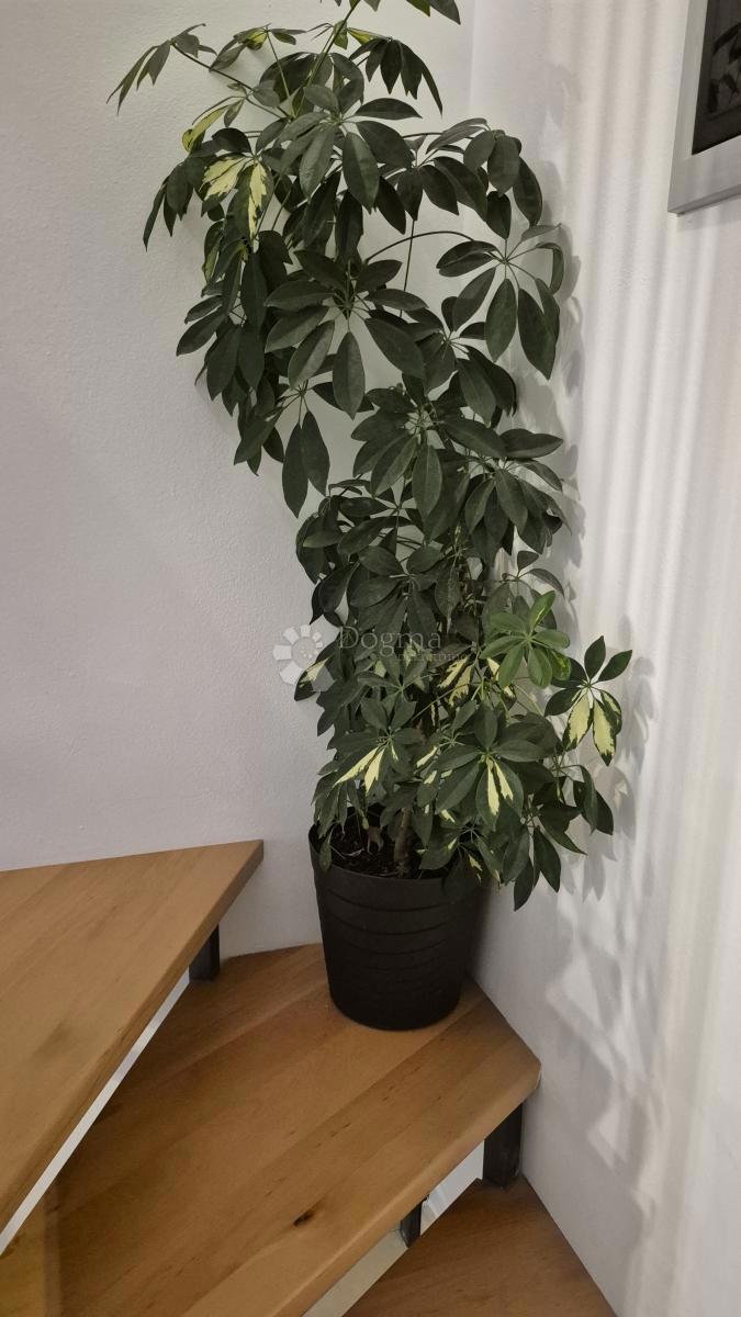 Dupleks stanovanje velikosti 91,05 m2 v Balah