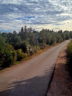 Zazidljivo zemljišče Ugljan, Preko, 541m2