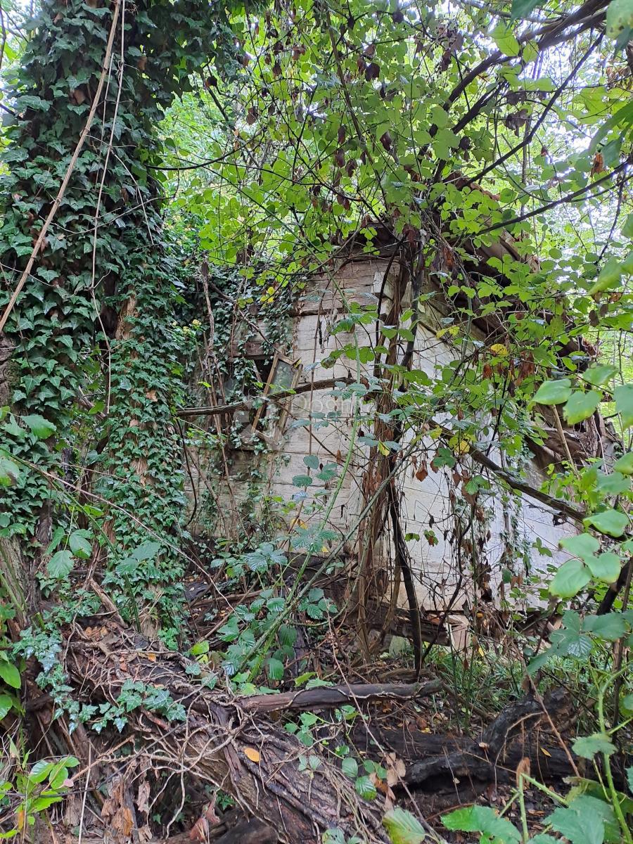 Kmetijsko zemljišče Ostrožin, Gvozd, 76.791m2