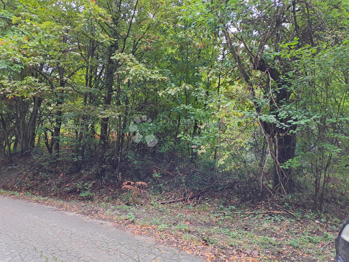 Kmetijsko zemljišče Ostrožin, Gvozd, 76.791m2