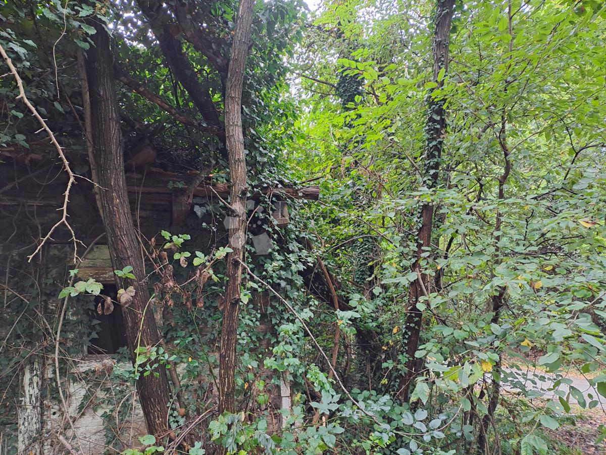 Kmetijsko zemljišče Ostrožin, Gvozd, 76.791m2