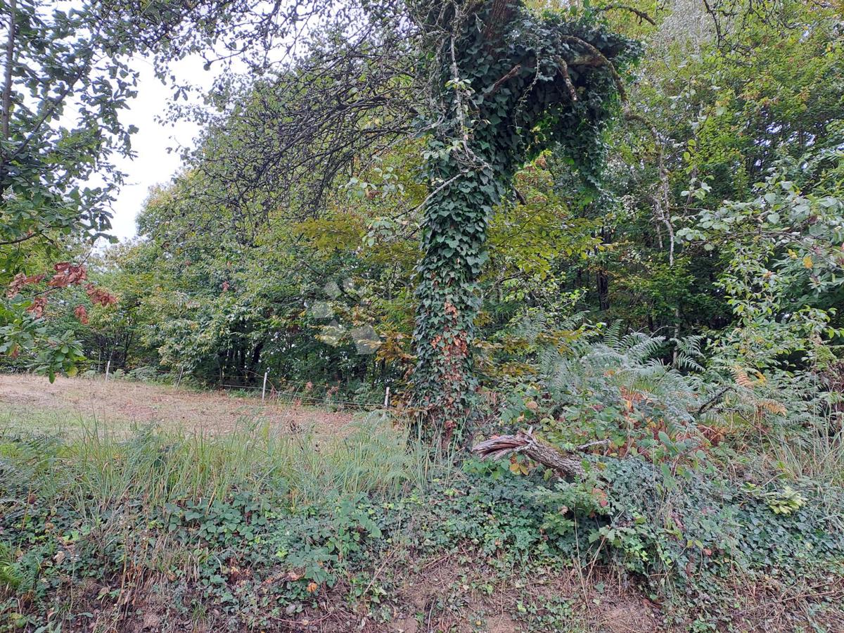 Kmetijsko zemljišče Ostrožin, Gvozd, 76.791m2