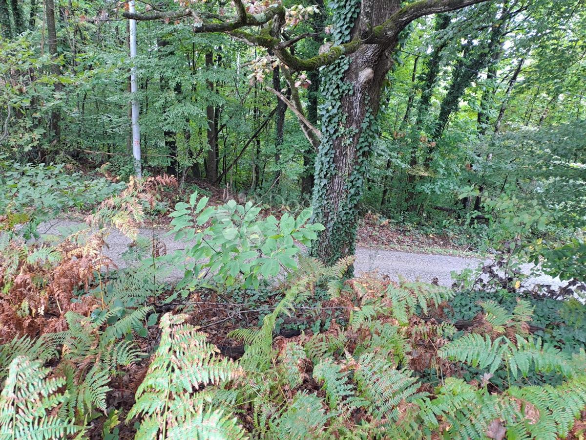 Kmetijsko zemljišče Ostrožin, Gvozd, 76.791m2