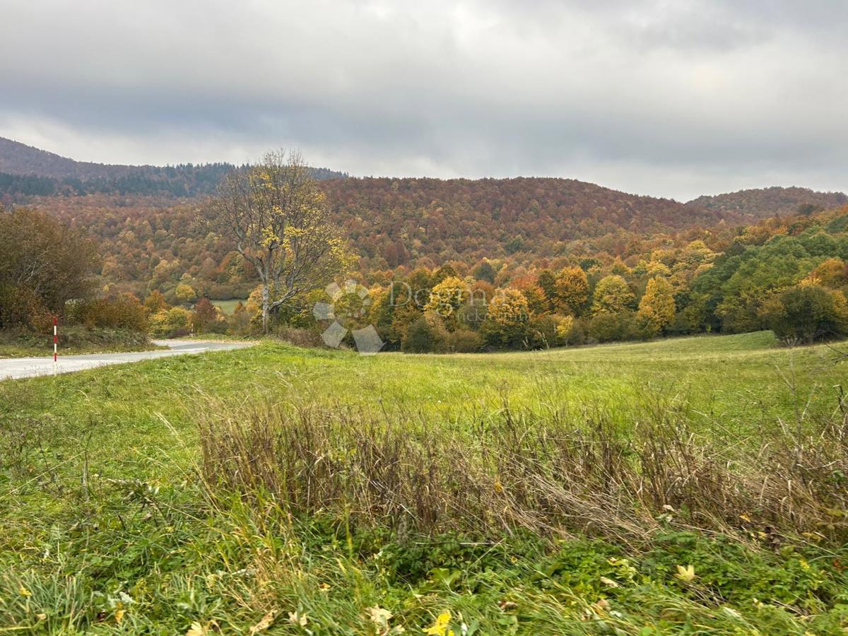 Hiša Begovo Razdolje, Mrkopalj, 70m2