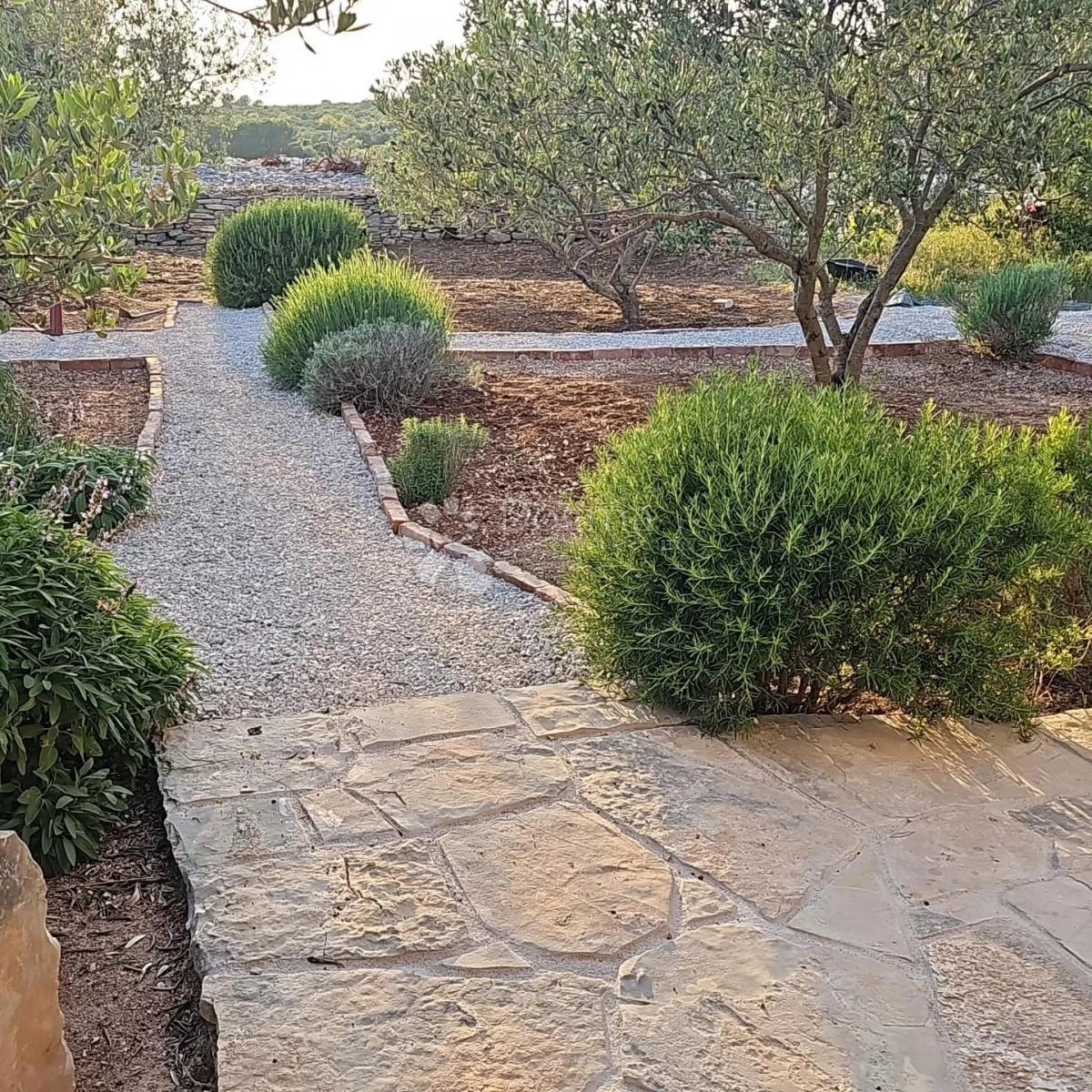 Kamnita oaza na Šolti