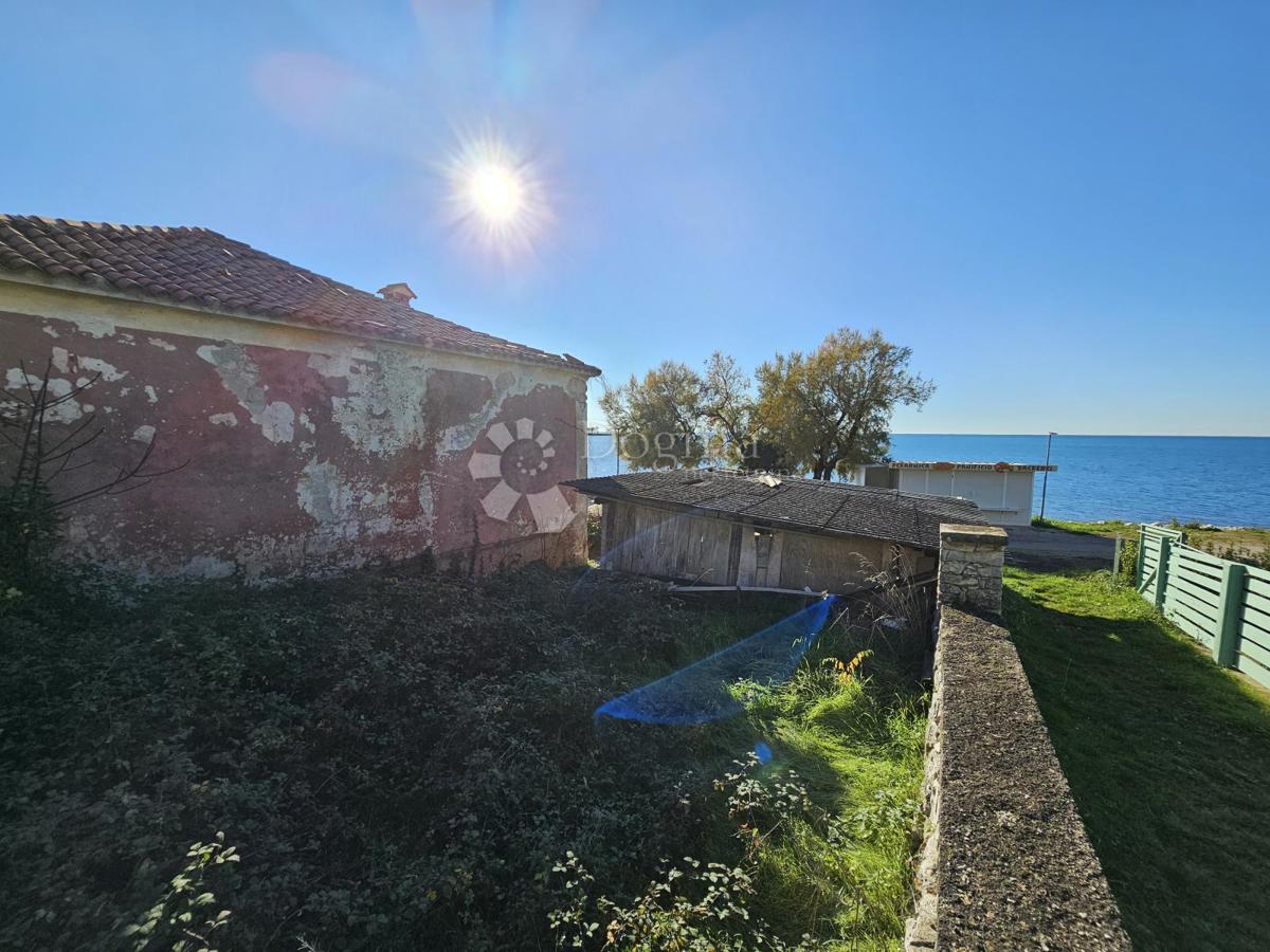 1. vrsta do morja (za prenovo)