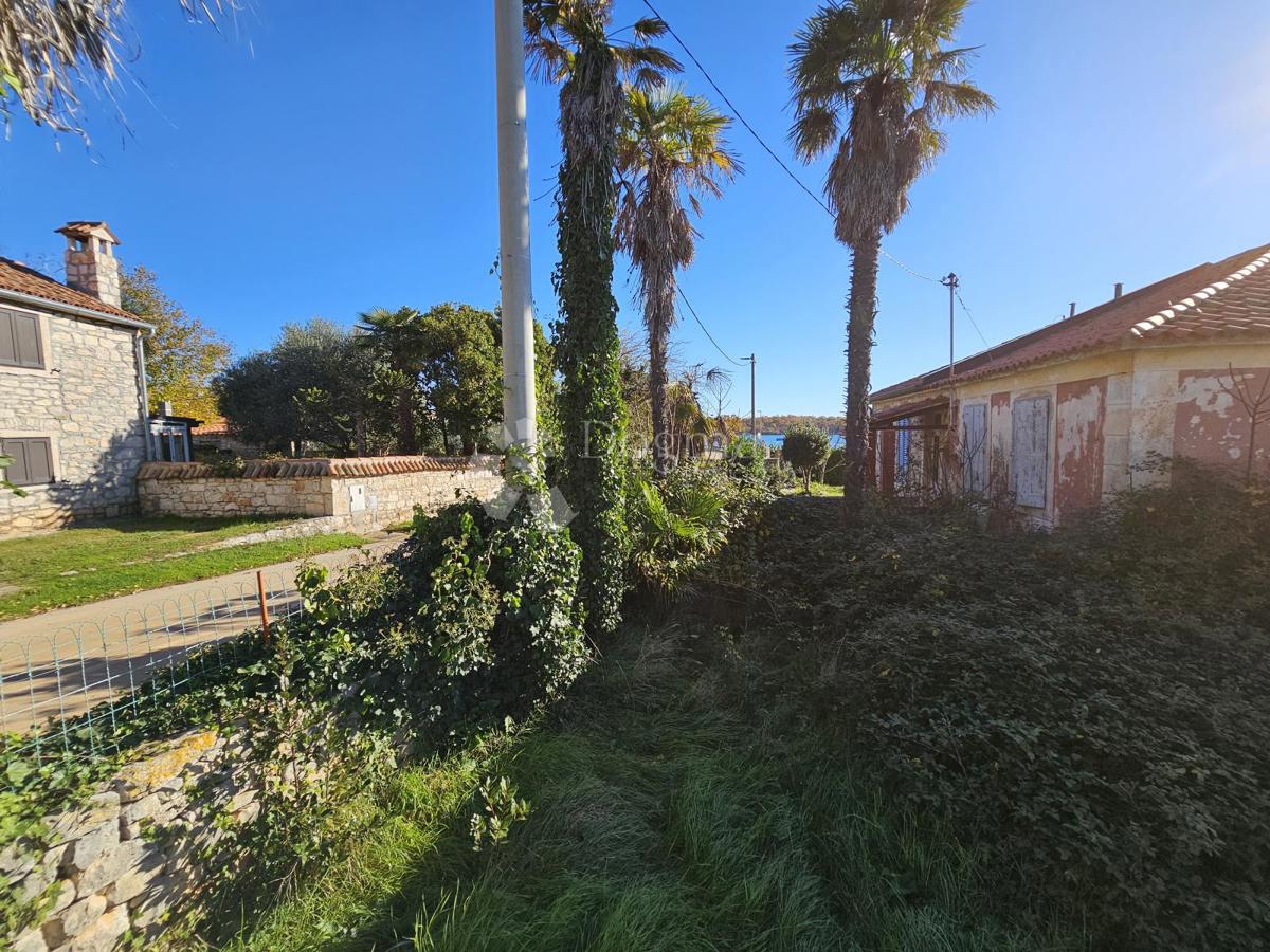 1. vrsta do morja (za prenovo)